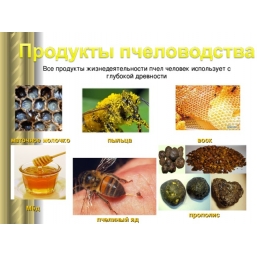 Продукты пчелиной жизнедеятельности